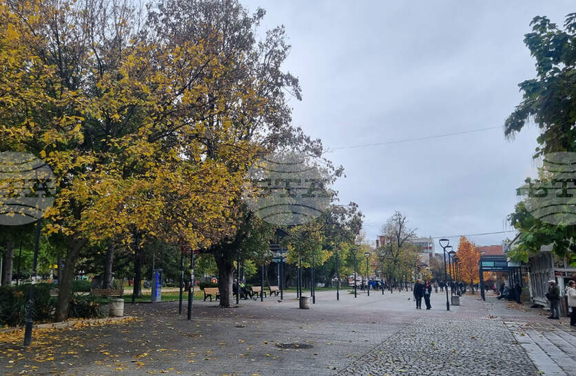 На пазара на труда в област Търговище се търсят десет висшисти с различни специалности