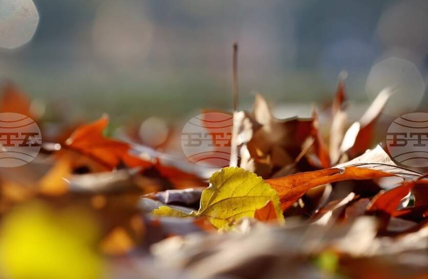 Прогноза за времето на 1 Ноември (Събота) и следващите дни