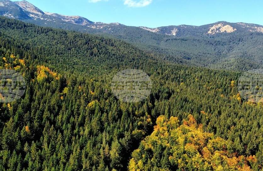 Добри са условията за туризъм в планините, от ПСС призовават туристите да тръгват със заредени телефони