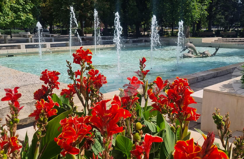 Отчет за изпълнението на общинския бюджет и средствата от Европейския съюз за първото полугодие ще гласуват съветниците в Търговище