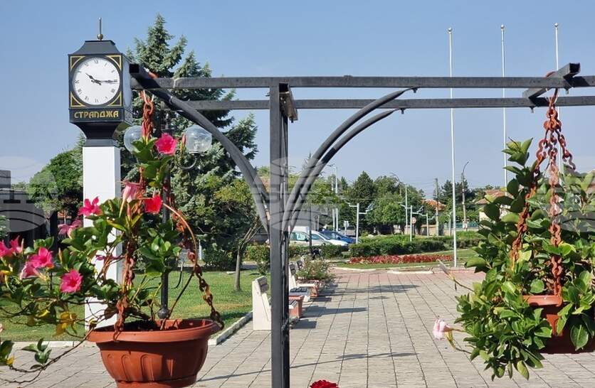 Общинският съвет в Стралджа прие промени в наредбите за обществения ред и регистрацията на превозни средства с животинска тяга