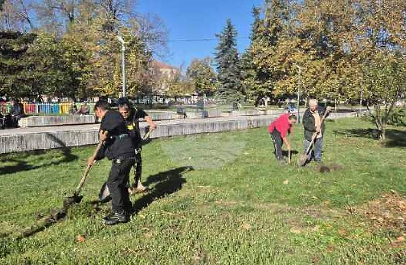Над 150 дървета от различни видове ще бъдат залесени в Търговище тази есен