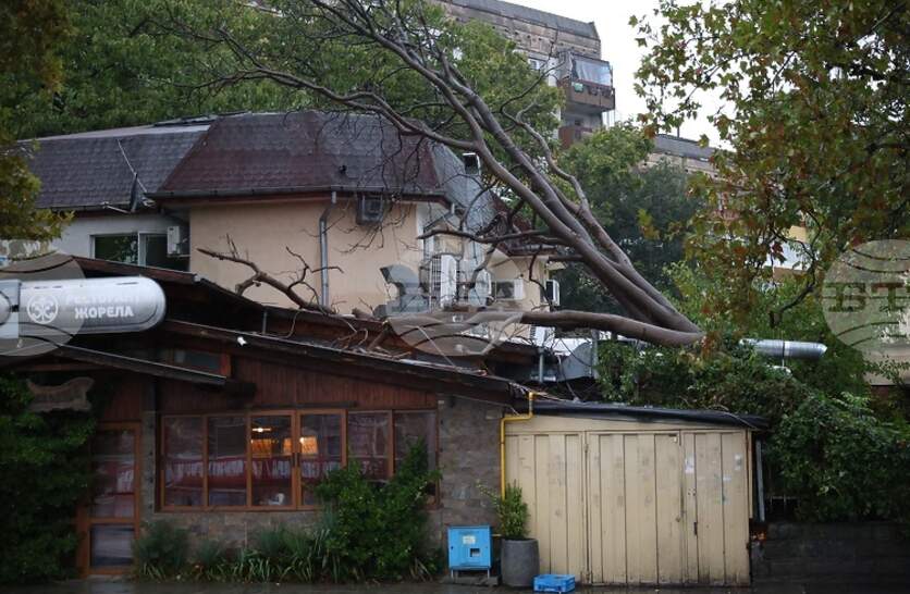    24    115 /.  ,    ,     