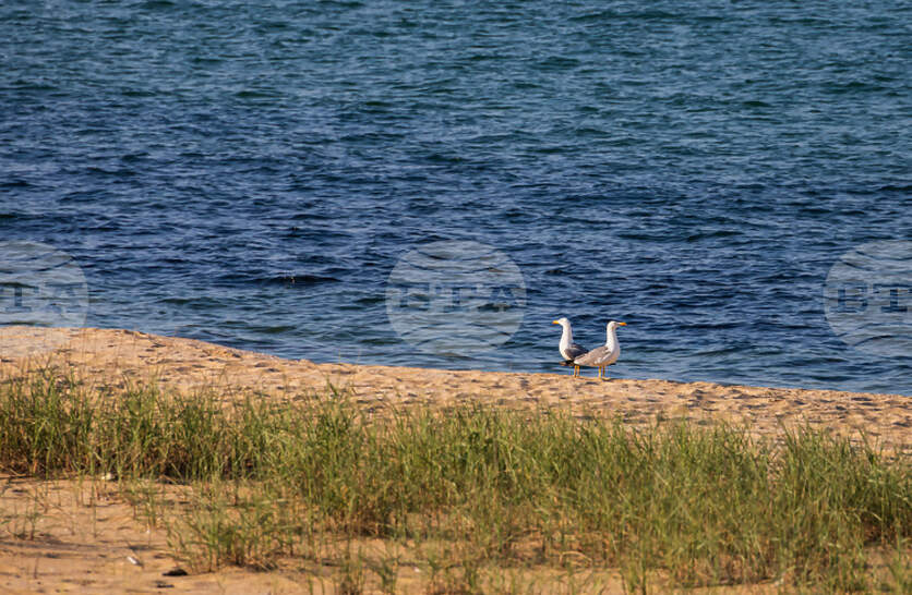 ���� ������ ������� �� ����� � ������ � ������� �������� ���������� �� ��������� �� ���������� ������ �� ����� � ���������� �����