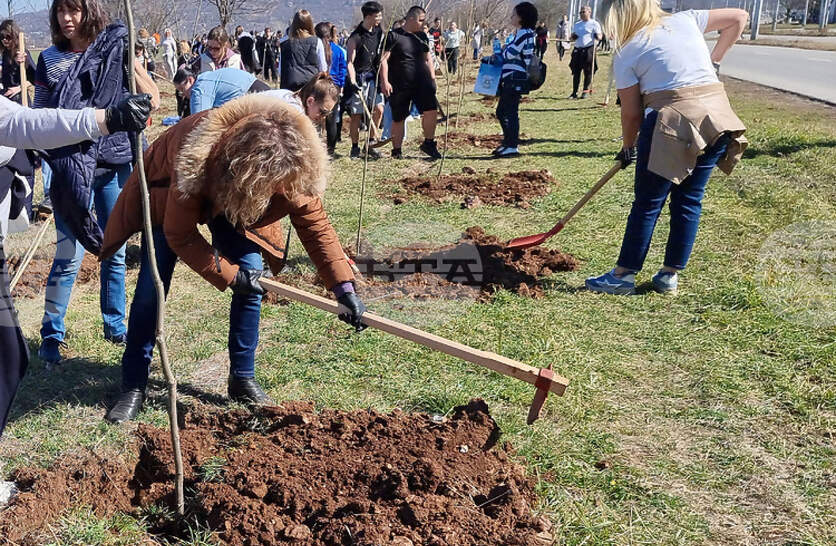  500       ,        ,   