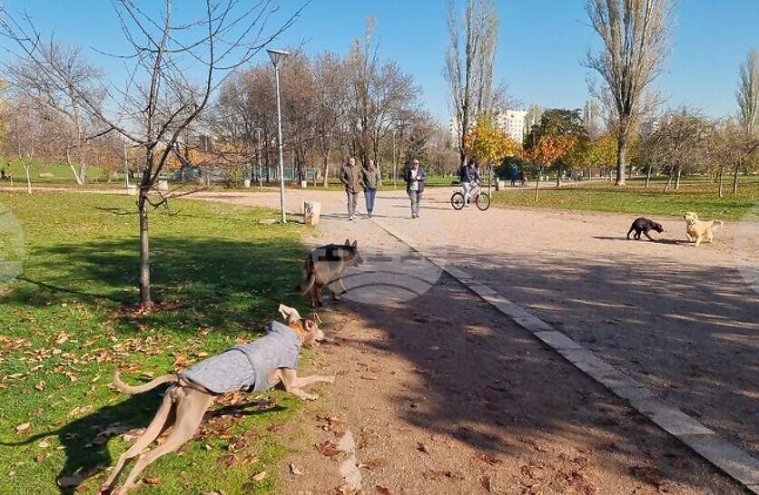  ,       ,     ,       100 .