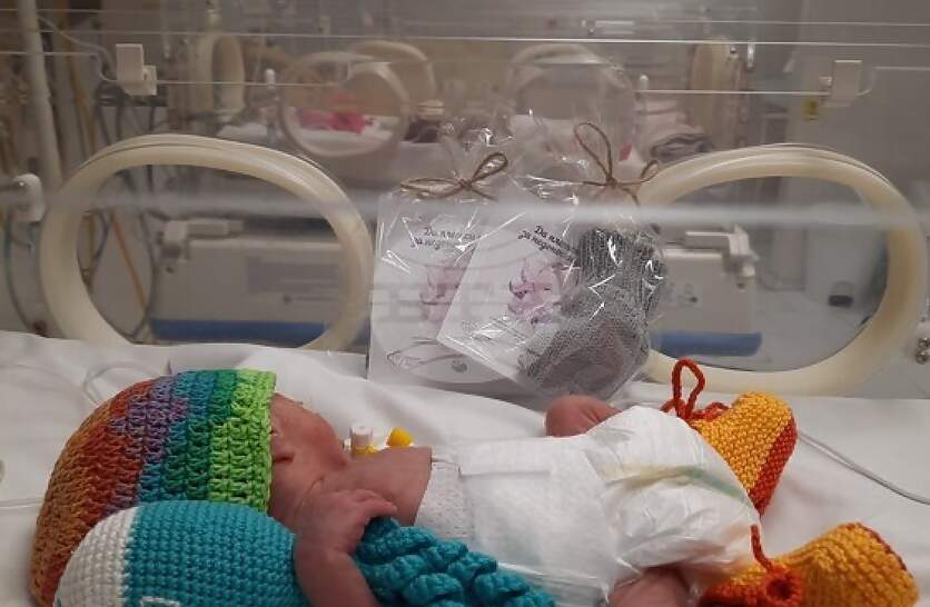  2024      5293     2500   481     1500 ,   