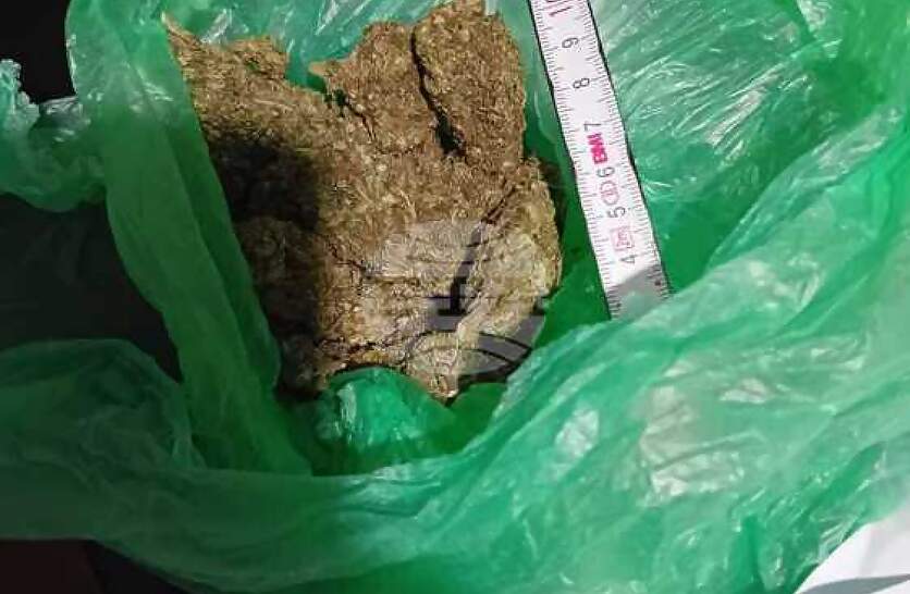  100  ,         42- ,   