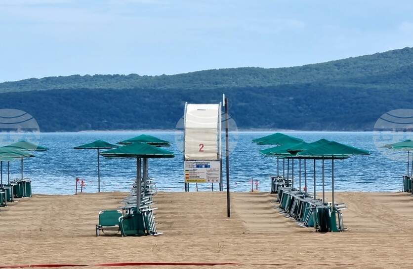     ,      ,    37      2019 .