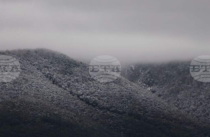 ���� �� ��������� �� ������� � ���������, � ����� � �������� �������� � ��� ������ ����������