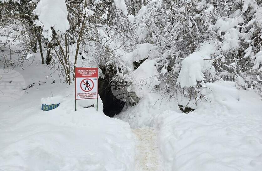 ��� 90 000 ������� �� �������� ����� �� ����� ��� ���� �� �������, �������� �� ��������