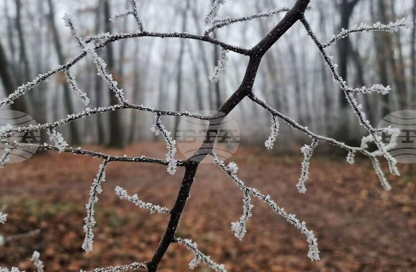 ���� ���� ������ �������� �� ������� �� ����������� ����� 32 ���� ������ � �� ������� 725 �������