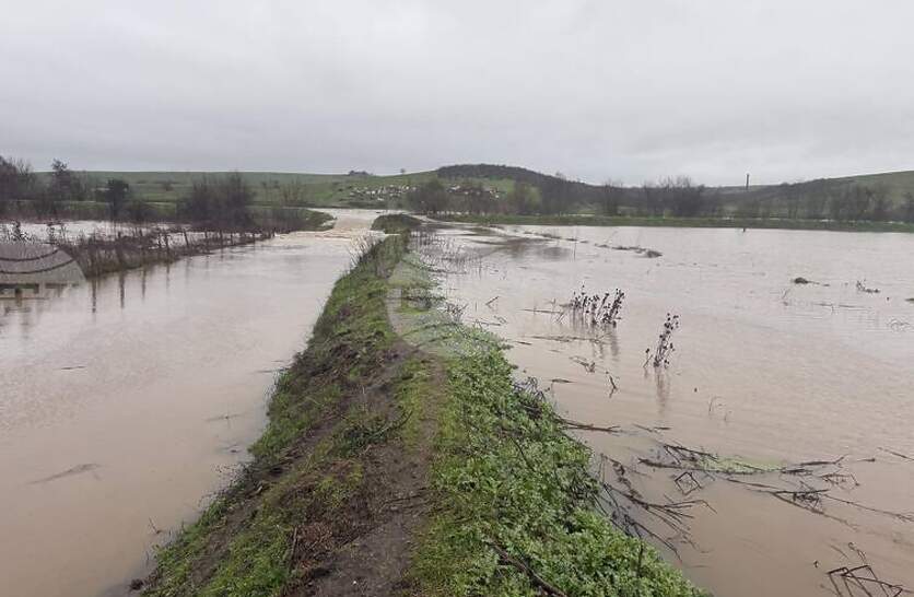     ,      ,    BG-Alert