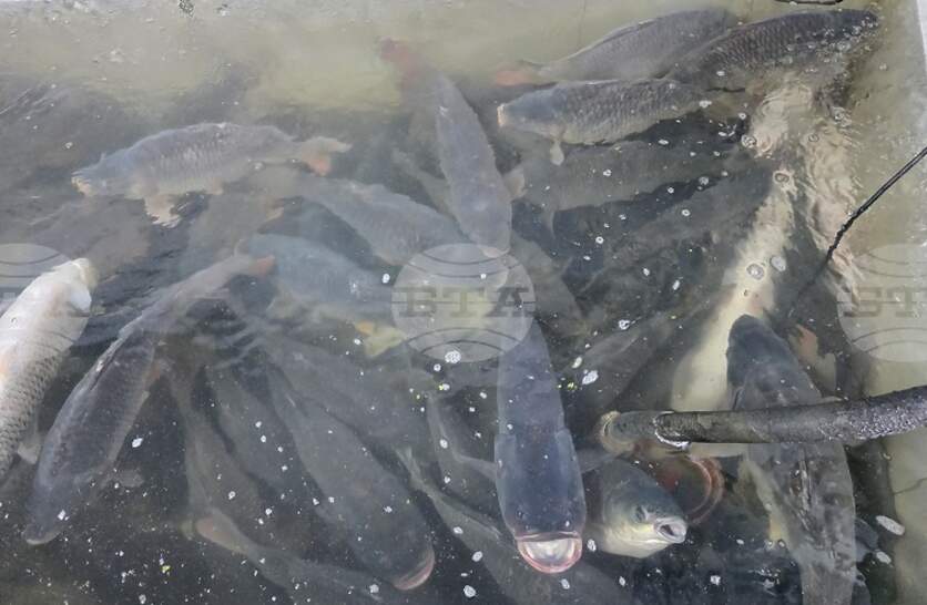 ������ �� 3 ���. ���� �� ������ ����������� �������� ����� 