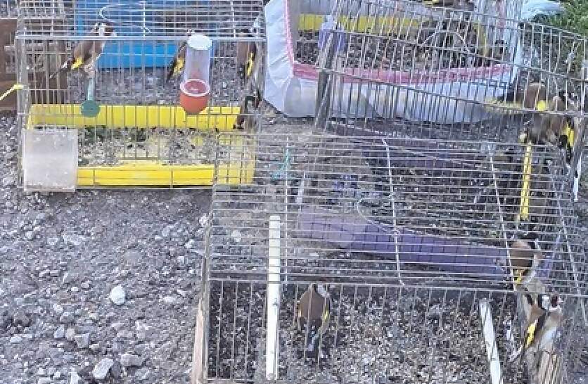 ����� � ������� ����������� ��������� �������� �� 35 ���������� �������� ���� ����� � �� ����� �� �������