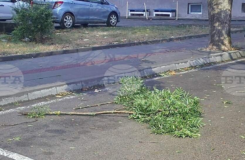 ��� ����� ����� �� ������ �� ������� ������ ���������� �� ������ ��������, �������� �� ���������