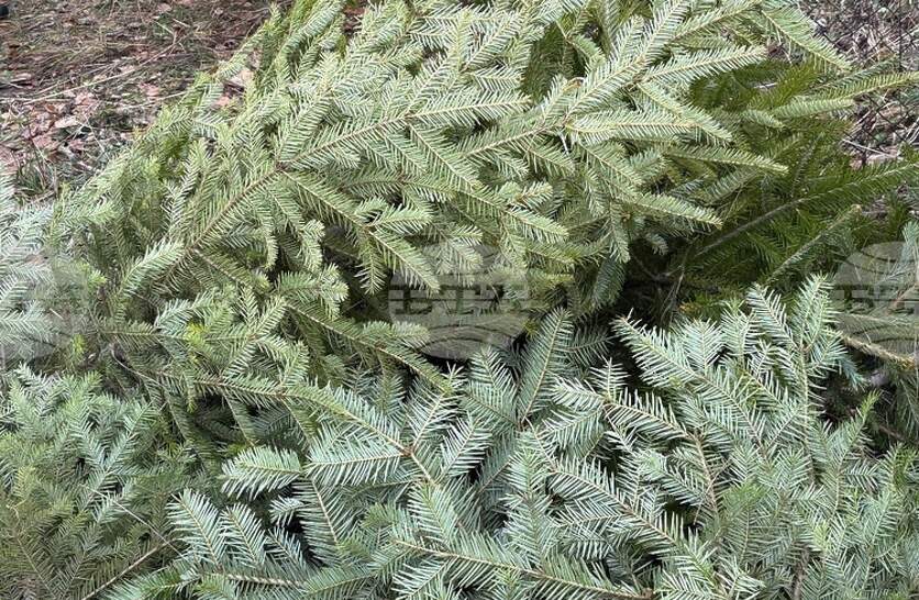 ������������ �������� �� ������ � ��������� ������� �������� �������� �� ��������� ������ ����