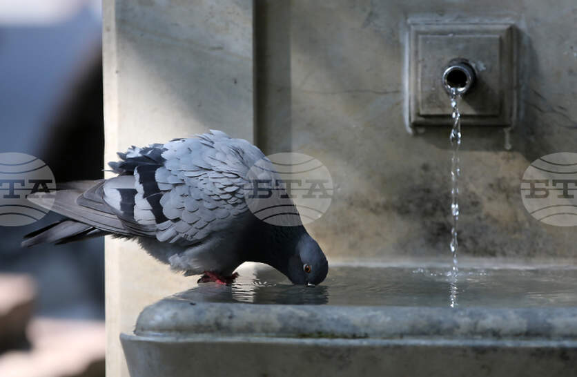 ������� ��������� �� ����, 