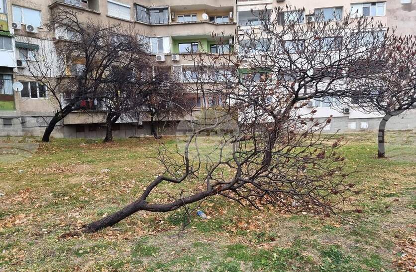 ����� ��� ������� 70 ��������� � ��� � ����� � �������, �������� � ����� �� ���� �������-�����