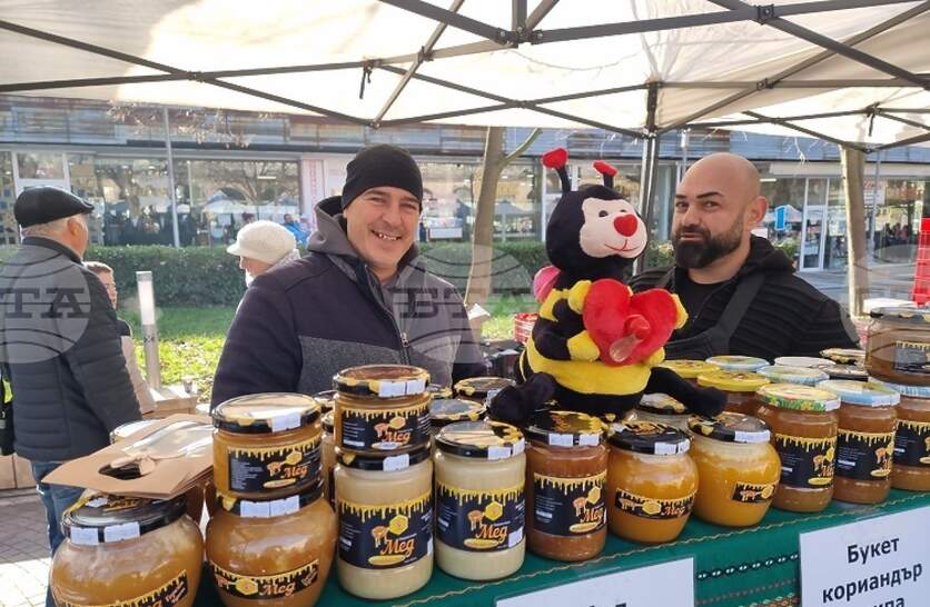 ������������� �� ���������� �������� ����� � ����� ���������� ���������-������������ ���������