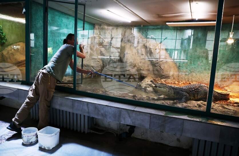 �������������� ������� � ����� ���� �� ������ �� 1 �� 4 ������