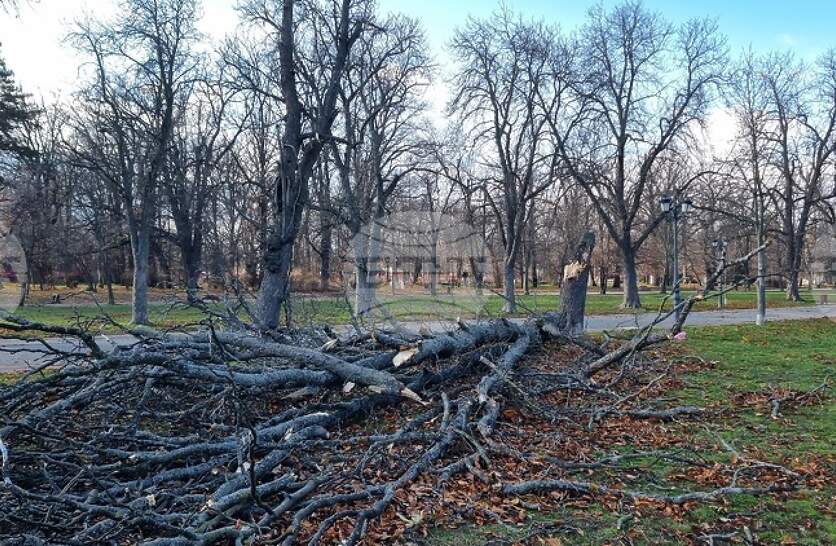 �� ���� 159 ������� � ������ ������ �� ��������� ������� �� ��������� ������ ������ �����