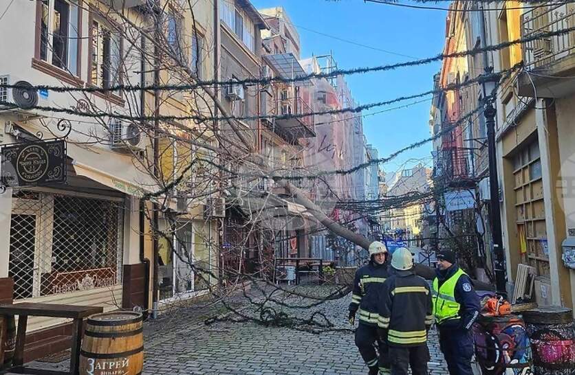 ����� 20 ������� �� ������� ������� � �����, � ���������� ���� �� ���������� �� �������� � ������ - �������