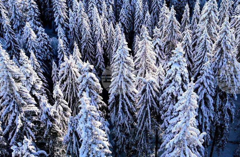 ��������� �� ������� �� ��������� � ���������, ��������� �� �� ��� ����� ����������, ����������� �� ��� ��� ���