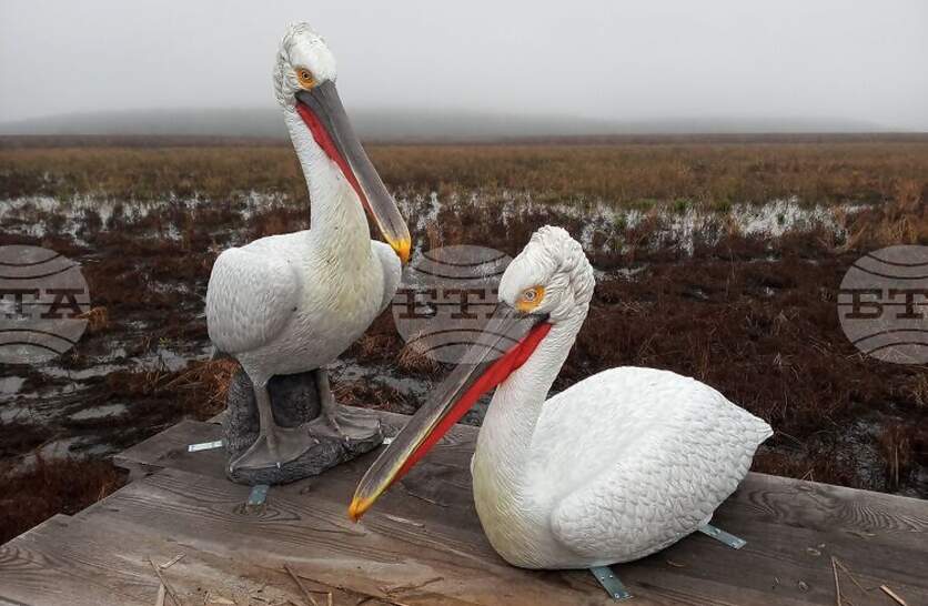 ��� ������ �� ���������� �������� �� ��������� �� ��������� � ��������� ����������