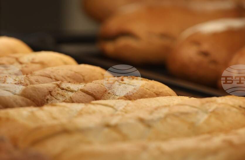 ���� �� ������� ������� �� ������������ 