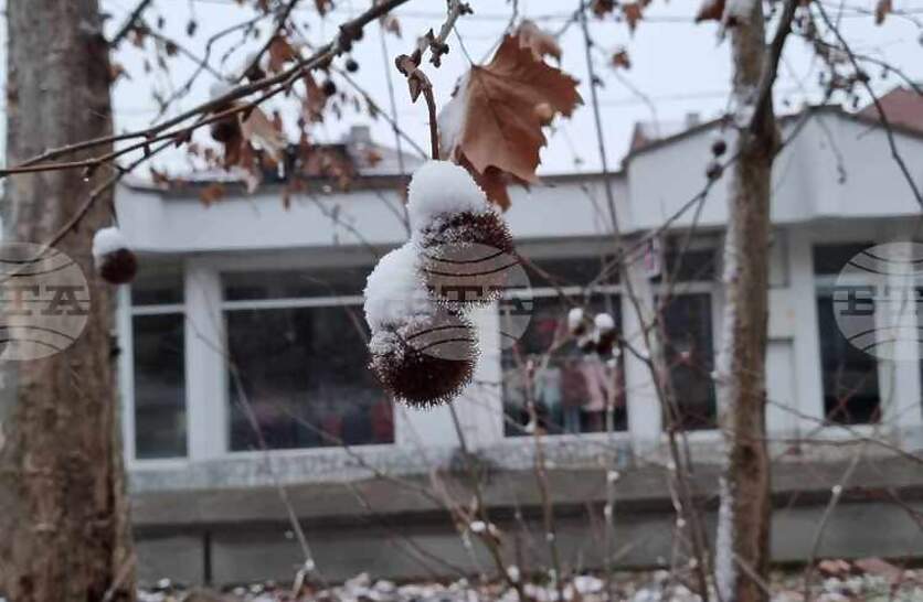 � ������������ ���� ��� ���� �� �������� �����, �������� �� ���������� ����� ����������