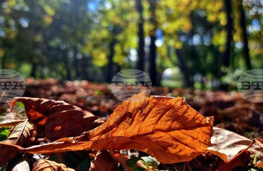 �������� �� ������� �� 16 �������� (�������) � ���������� ���