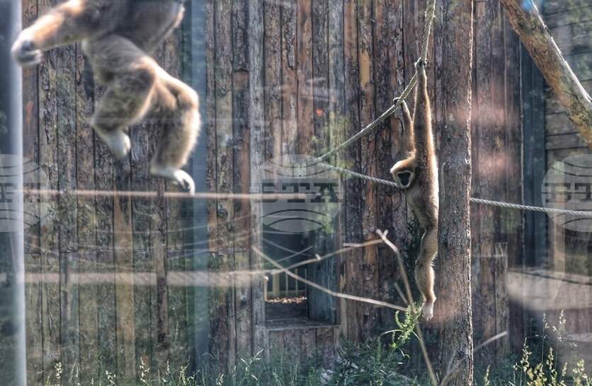 ��������� � ��������� ������� �������� ������� ��������