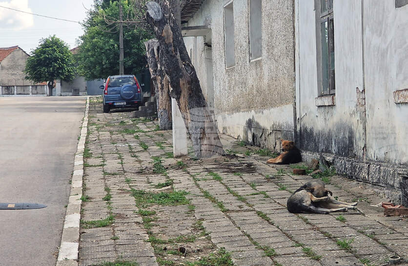 ������ �� ������� � ��������� �� ����������������� ������ �� �������� �� ���������� �� �� �������� ��������� ���������� ����� � ������