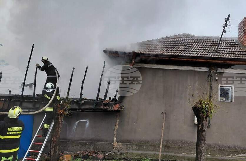 ���������� ������ ������� ����� � ����������� ���� ���� ������