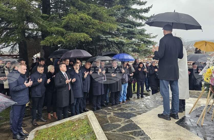 �� ������ �� ����� � ������� ��������� ����� �� ������ ����� �� �������� �� ������������� ������ � 41 ������ �� �������������� �������