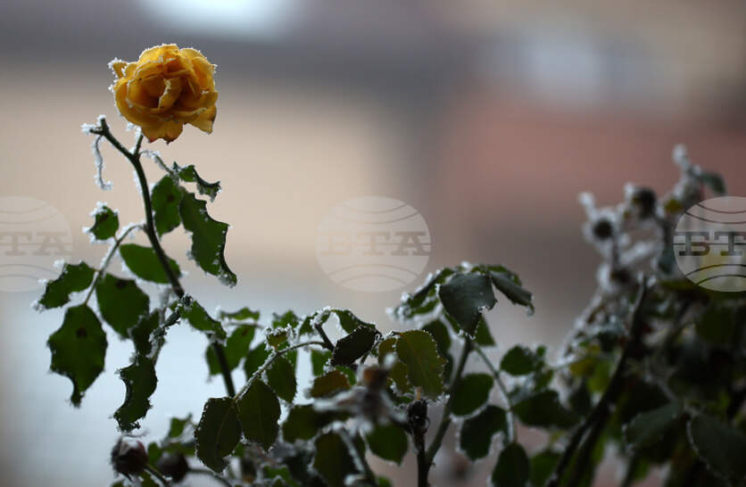 �������� �� ������� �� 14 �������� (������) � ���������� ���