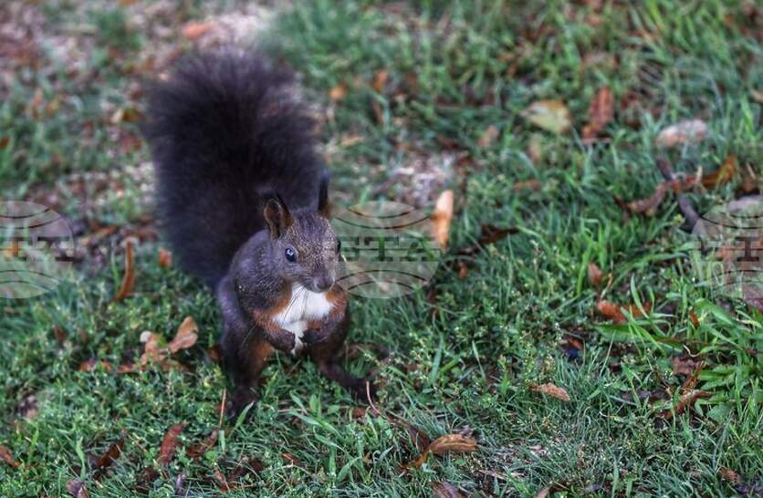 �������� �� ������� �� 15 �������� (����������) � ���������� ���