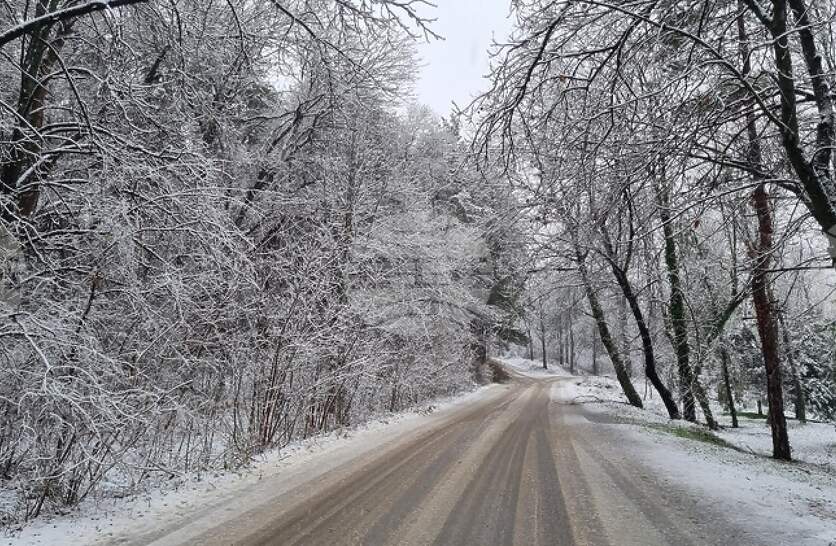 ������ � �������� ������ ����������� ���������� � ����� ������ �� ��������