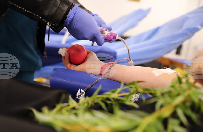 �������� ������ �� ��� ������ ������ � ���� ������ �������� �� ������