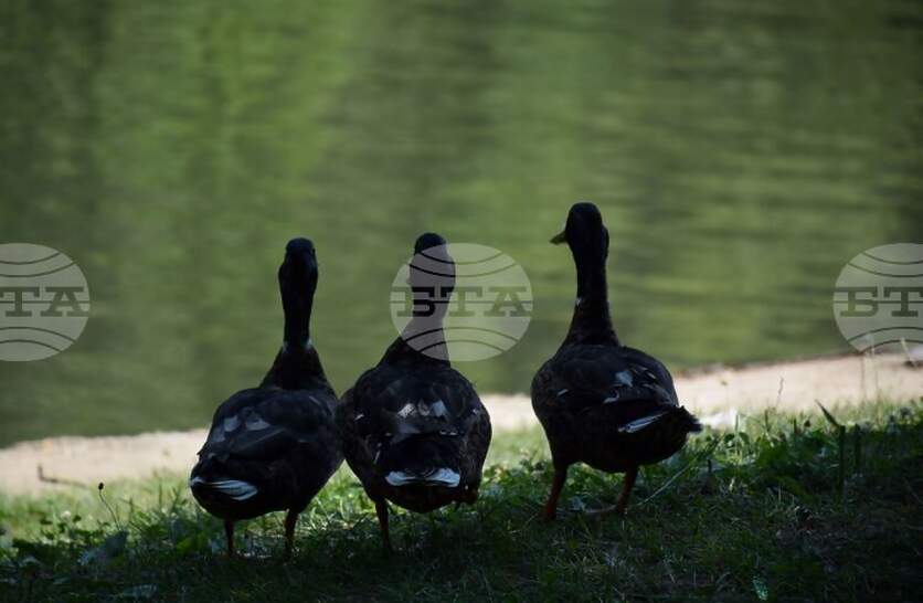 ����� 100 �������� ������ �� ��������� �� �����-���������� ��������� � �����