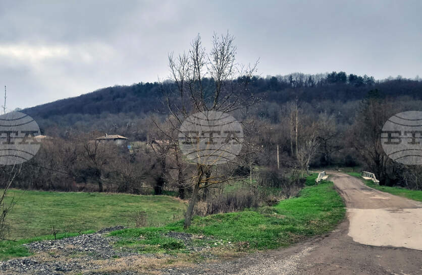 �������� �� ������� �� 17 �������� (�����) � ���������� ���