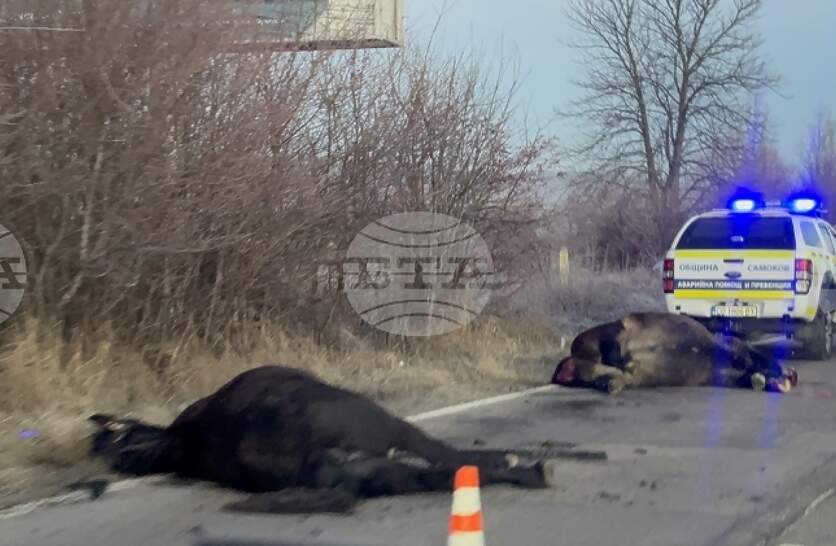 ���������� �� ���� ������� - ����� � ����������