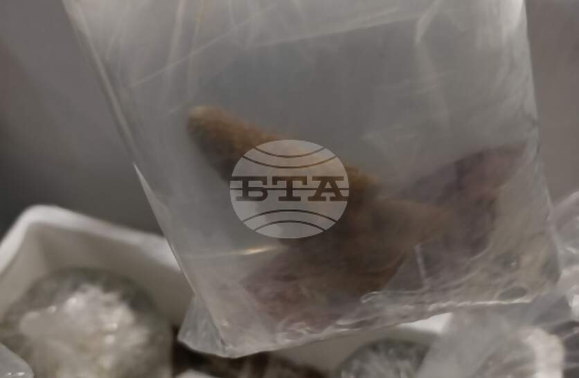 ����� ������ �� ���������� �� ��������� ������ �� ���� ������ ���� ������ �������� ��������, ������������ ������������ ������