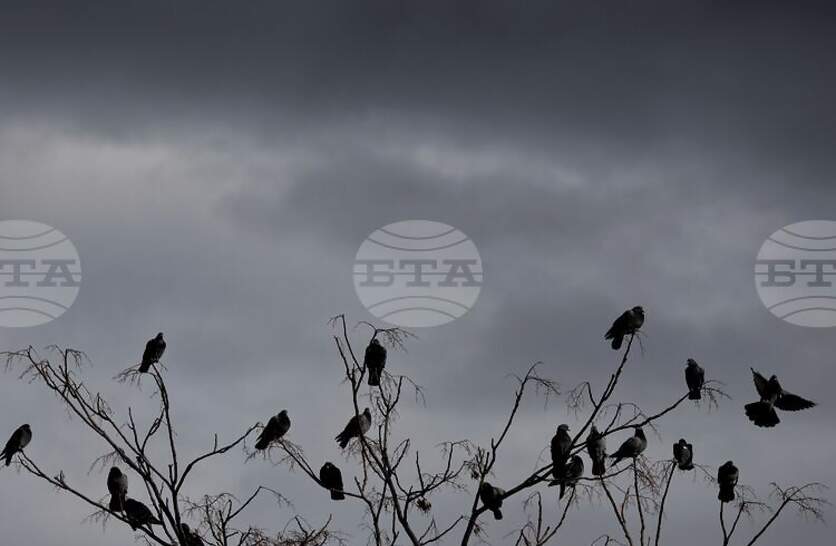 �������� �� ������� �� 20 �������� (������) � ���������� ���