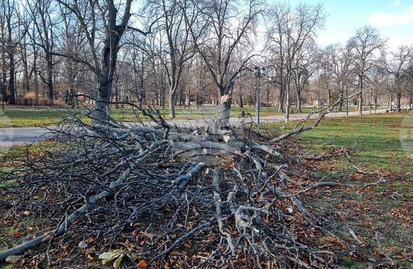 ����� �� ���������� ������ ������� �� ����� �� ������� ��� ������ ��� ������ �����