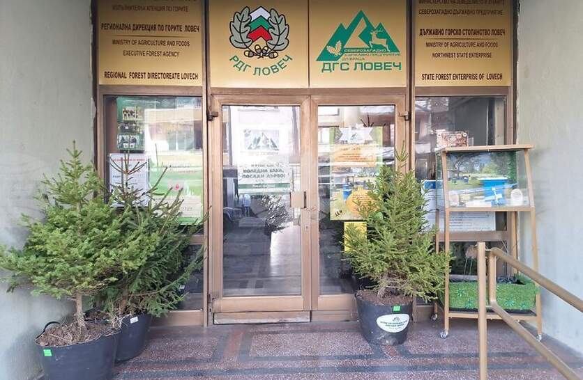 ��� ��-������������ �� ������������ ������� �������� � �������