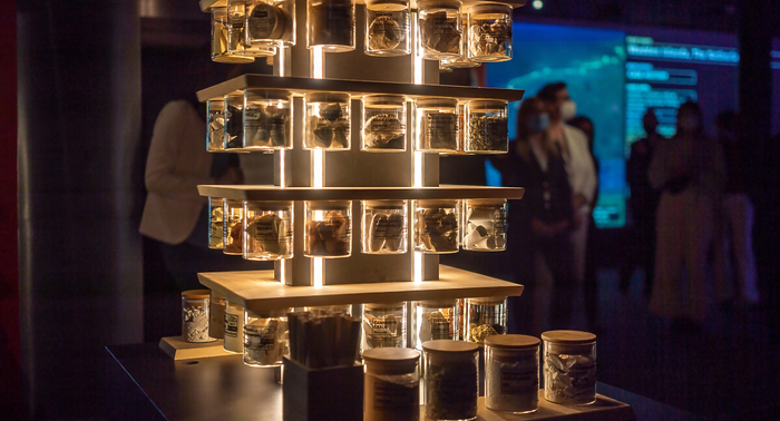 �������� ������ ��������� �������� ���� � ������ �� ���� �� ������