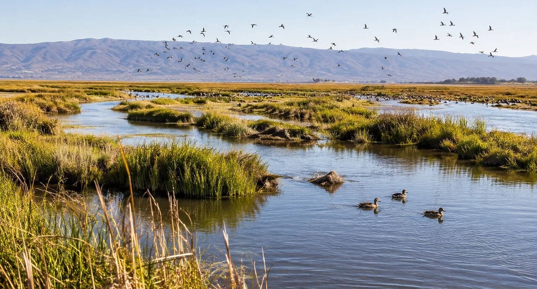 ���������������� �� �������� ���� � ����������: ��������� Cullinan Ranch � Dotson Family Marsh ��������� ��� ����� �� ������ �������